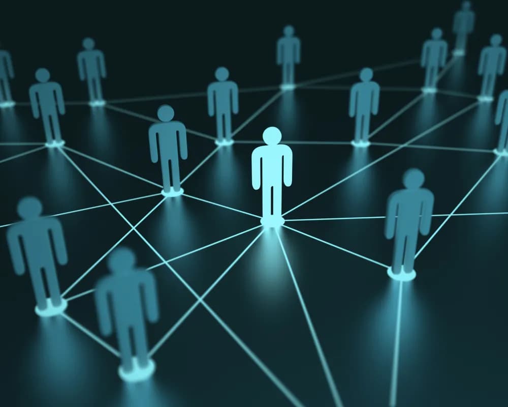 Link Building